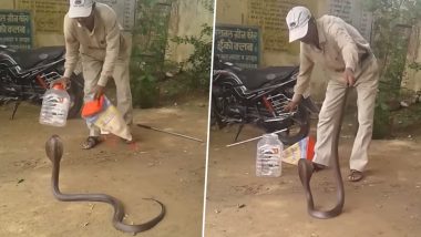 Cobra in Police Station: महाराष्ट्र के पुलिस स्टेशन में घुसा खतरनाक कोबरा, शख्स ने पकड़कर बोतल में किया बंद