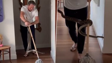 Glenn McGrath Catches Three Pythons At Home: पूर्व ऑस्ट्रलियाई क्रिकेटर ग्लेन मैक्ग्रा ने घर पर पकड़े तीन अजगर, साहसी काम का वीडियो सोशल मीडिया किया शेयर, देखें वीडियो