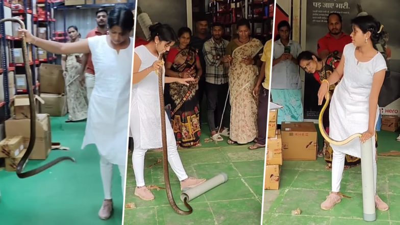 Snake Video: दुकान में घुस गया था विशाल सांप, महिला ने नंगे हाथ ऐसे किया रेस्क्यू