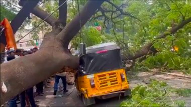 Tree Fell on Auto Rickshaw: हैदराबाद में अचानक ऑटो रिक्शा पर पेड़ गिरने से ड्राइवर की मौत, हादसे का वीडियो आया सामने