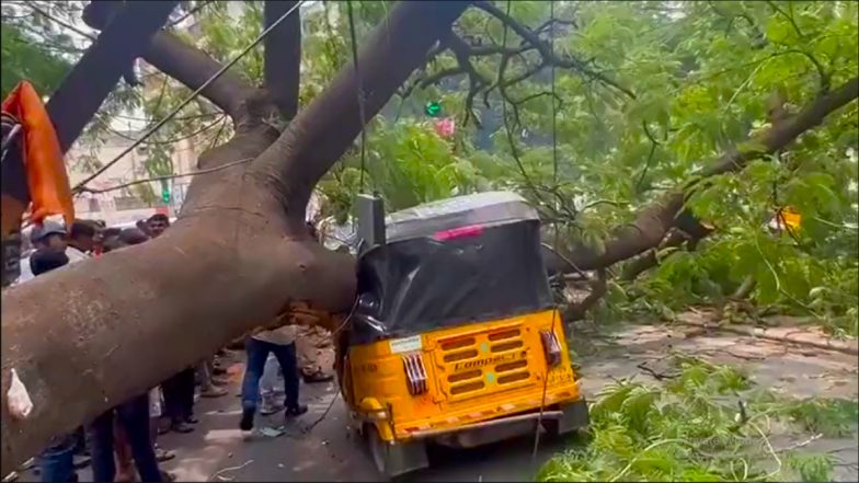 Tree Fell on Auto Rickshaw: हैदराबाद में अचानक ऑटो रिक्शा पर पेड़ गिरने से ड्राइवर की मौत, हादसे का वीडियो आया सामने