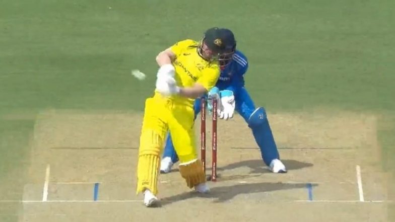 David Warner Fifty: डेविड वार्नर ने जड़ा अर्धशतक, स्टीव स्मिथ के साथ मिलकर पारी को संभाला