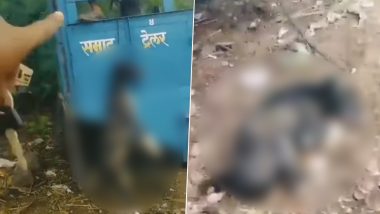 Maharashtra Dog Hanged to Death: इंसान बना क्रूर! कुत्ते ने ट्रैक्टर की फाड़ दी सीट तो गुस्साए ड्राइवर ने फांसी पर लटकाकर मार डाला, देखें खौफनाक वीडियो