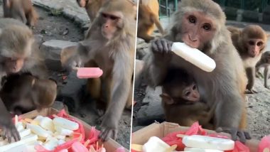 Viral Video: आइसक्रीम देखते ही उसपर टूट पड़े बंदर, पूरे झुंड ने जमकर उठाया दावत का लुत्फ