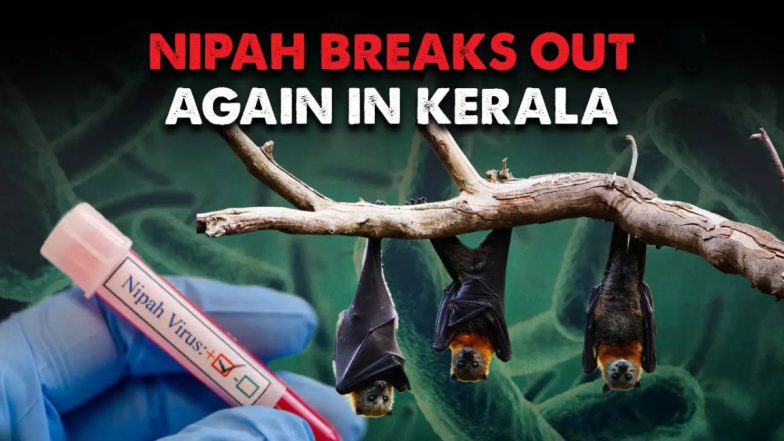 Kerala Nipah Virus Case: केरल में निपाह वायरस की दहशत, एक और मरीज अस्पताल में भर्ती, बांग्लादेशी वैरिएंट की पुष्टि