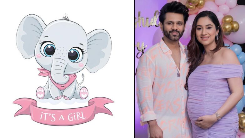 Rahul Vaidya Welcomes Baby, Shares Joy: राहुल वैद्य&nbsp;ने पिता बनने की खुशी सोशल मीडिया पर की शेयर, दिशा परमार ने बेटी को दिया जन्म (View Pic)