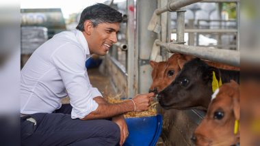 Rishi Sunak With Cows: गाय को चारा खिलाते नजर आए ब्रिटेन के पीएम ऋषि सुनक, किसानों के लिए पैकेज का किया ऐलान