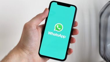 Whatsapp New Feature: चैनलों के लिए ऑटोमैटिक एल्बम फीचर शुरू करेगा व्हाट्सएप