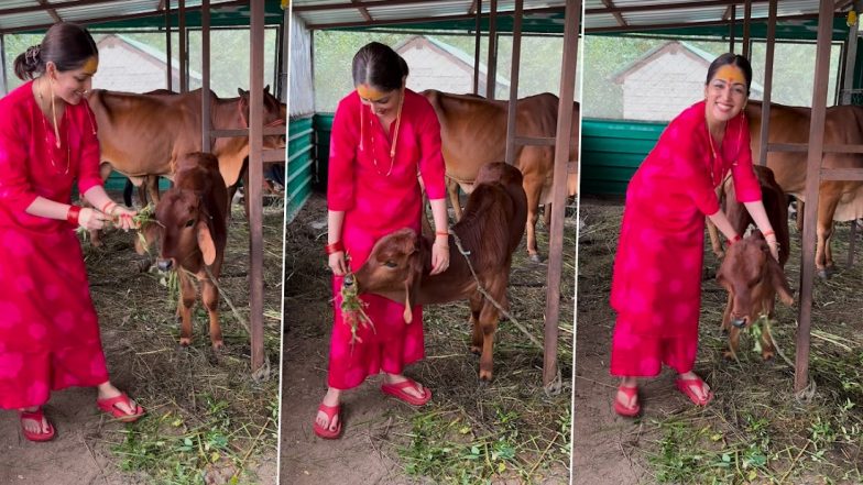 Yami Gautam ने परिवार के नए सदस्य के साथ सोशल मीडिया पर शेयर किया वीडियो, फैंस हुए गदगद (Watch Video)