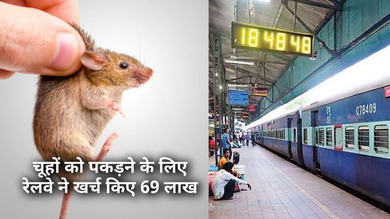 गजब! 41000 रुपये का एक चूहा! रेलवे ने चूहों को पकड़ने के लिए खर्च किए 69 लाख, RTI में हुआ खुलासा