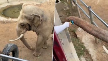 Elephant Viral Video: हाथी के बाड़े में गलती से गिरा बच्चे का जूता, गजराज ने अपनी सूंड से उठाकर वापस लौटाया