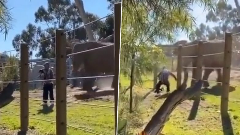 Viral Video: जंगली जानवर के बाड़े में अपने बच्चे को लेकर घुसा शख्स, सेल्फी लेने के दौरान पीछे से आ गया हाथी और फिर...