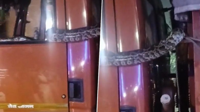 ग्रेटर नोएडा में ट्रक के अंदर घुसा अजगर, डर के मारे वाहन छोड़कर भागे चालक-परिचालक (Watch Viral Video)