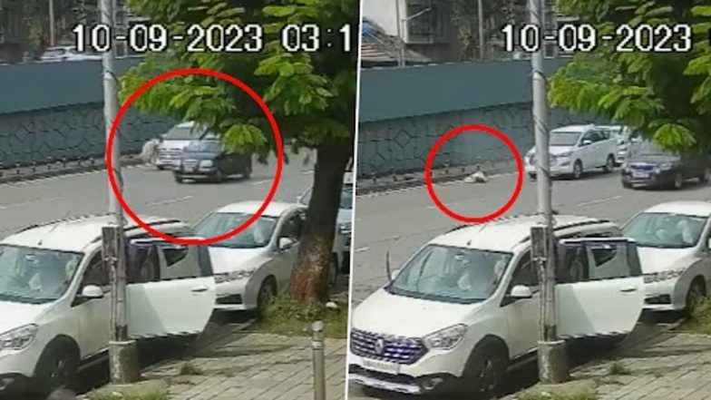 Mumbai Road Accident: मुंबई के सायन इलाके में तेज रफ़्तार कार ने बुजुर्ग महिला को मारी टक्कर, इलाज के दौरान मौत- VIDEO