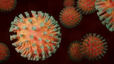 Another Coronavirus Outbreak? क्या कोरोना नए रूप में मचाने वाला है तबाही; चीन की 'बैटवुमेन' ने कहा तैयारी शुरू कर दें