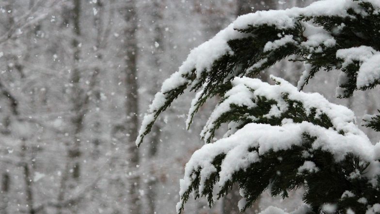 Snowfall In Srinagar : लगातार हो रही बर्फ़बारी के कारण श्रीनगर-लेह हाईवे बंद