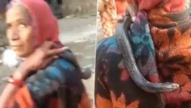 Woman Walks With a Snake on Her Shoulder: सांप को कंधे पर लेकर घूमती दिखी महिला, पूछने पर बताया बेटे का पुनर्जन्म है