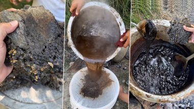 How Shilajit Is Made: पहाड़ों में से ऐसे बनता है शिलाजीत, देखें वीडियो