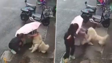 Dog Attack Video: सड़क पर बैठे आवारा कुत्ते के पास पहुंची महिला, जानवर ने किया बेरहमी से हमला (देखें वीडियो)