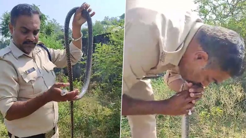 CPR to Snake Video: कीटनाशक मिले पानी में भीगने के बाद बेहोश हुआ सांप, एमपी पुलिसकर्मी ने सीपीआर देकर बचाई जान