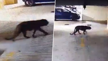 Leopard in Bangalore Society: बेंगलुरु के रिहायशी इमारत में घुसा तेंदुआ, दहशत में स्थानीय लोगों, देखें वीडियो