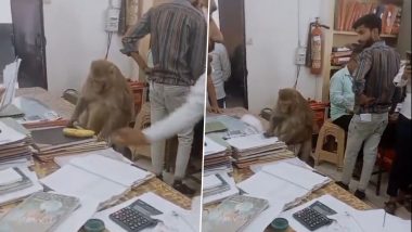 Monkey Visits Office in UP: बंदर ने सहारनपुर में उप रजिस्ट्रार कार्यालय में कागजात खंगाले, केला लेने से किया इनकार, वीडियो वायरल