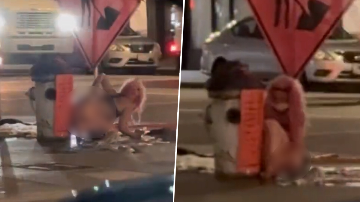 Naked Woman Bathing in Public in US सन फरससक म फटपथ पर फयर