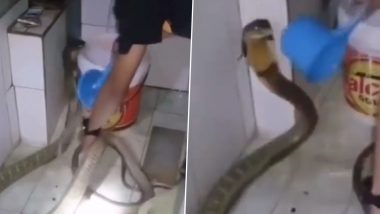 Man Gives Bath to Cobra: वॉशरूम में बेखौफ होकर शख्स ने किंग कोबरा को नहलाया, वीडियो वायरल