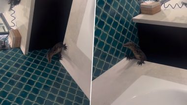 Huge Lizard Inside Hotel Bathroom: होटल के बाथरूम के अंदर छिपी थी विशाल छिपकली, वीडियो देख लोग शॉक में लोग