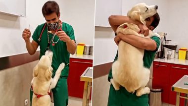 Video: वैक्सीन देने से पहले कुत्ते का ध्यान भटकाने के लिए पशु चिकित्सक ने किया डांस, देखें क्यूट वीडियो