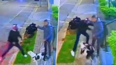Brave Dog Saves Owner From Attackers: बहादुर कुत्ते ने मालिक को हमलावरों से बचाया, देखें वीडियो