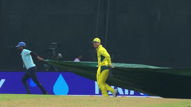 David Warner Helps Ground staffs:&nbsp;मैच के दौरान ग्राउंडस्टाफ को कवर लाने में मदद करते हुए डेविड वार्नर ने दिल जीता करोड़ो दिल, देखें Photo