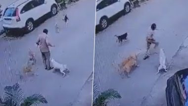 Mumbai- Postman Attacked By Dog Video: पांच आवारा कुत्तों ने घेरकर किया पोस्टमैन पर अटैक, हमले का हैरान करने वाला वीडियो हुआ वायरल