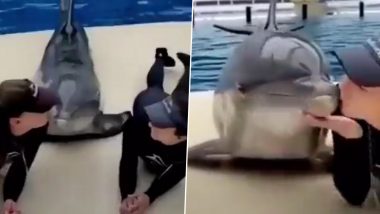 Dolphin Kisses Two Girls: डॉल्फिन ने दो-दो लड़कियों को किया किस, वायरल वीडियो में देखें उसका रोमांटिक अंदाज