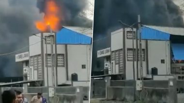 Gujarat Paints Company Fire Video: गुजरात के वलसाड में पेंट्स कंपनी में लगी आग, कड़ी मशक्कत के बाद दमकल की टीम ने पाया काबू