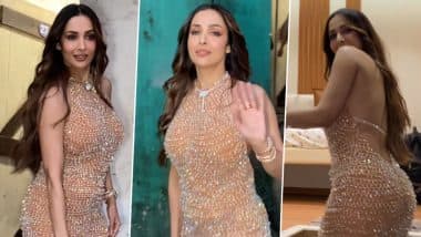 गोल्डन शिमर गाउन में Malaika Arora ने बिखेरा जलवा, एक्ट्रेस की कातिल अदाओं ने यूजर्स के उड़ाए होश(Watch Video)