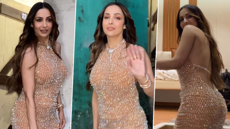 गोल्डन शिमर गाउन में Malaika Arora ने बिखेरा जलवा, एक्ट्रेस की कातिल अदाओं ने यूजर्स के उड़ाए होश(Watch Video)