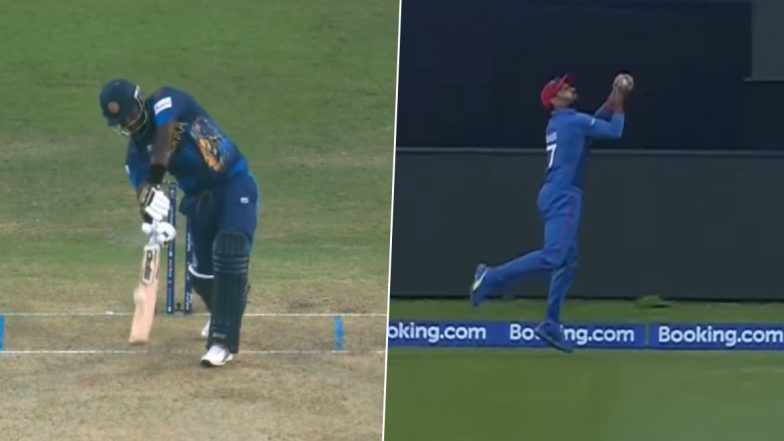Video- Mohammad Nabi Takes Stunning Catch: श्रीलंका के खिलाफ विश्व कप मैच के दौरान मोहम्मद नबी ने बाउंड्री के पास लपके बेहतरीन कैच, देखें वीडियो