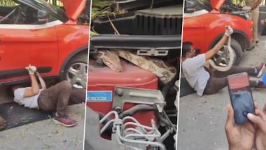 Python In Car Engine: कार के इंजन में छिप कर बैठा था 6 फुट लंबा अजगर, VIDEO देख खड़े हो जाएंगे रोंगटे