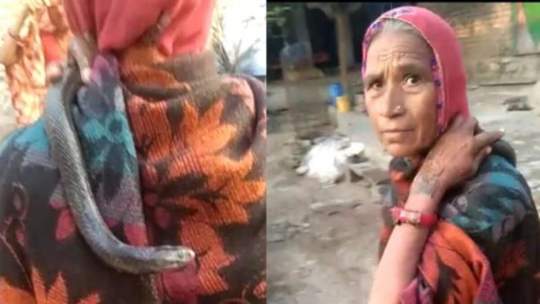 VIDEO: सांप बनकर वापस आया बेटा! घर में घुसे नाग को गले में डाल घूमने लगी महिला, देखें वायरल वीडियो