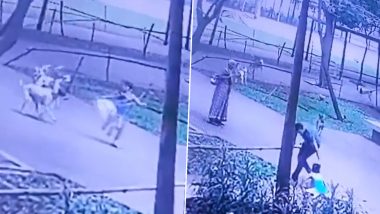 Dogs Attack in Thane: मुंबई से सटे ठाणे में लोढ़ा अमारा कॉम्प्लेक्स में बच्ची पर आवारा कुत्तों ने किया हमला, शख्स ने बचाई जान; देखें वीडियो