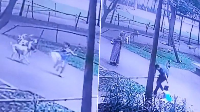 Dogs Attack in Thane: मुंबई से सटे ठाणे में लोढ़ा अमारा कॉम्प्लेक्स में बच्ची पर आवारा कुत्तों ने किया हमला, शख्स ने बचाई जान; देखें वीडियो