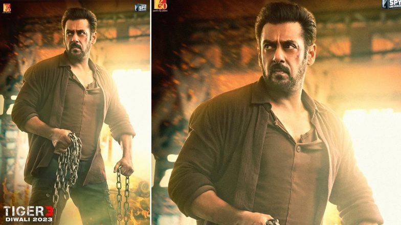 Tiger 3: बॉक्स ऑफिस पर एक नया रिकॉर्ड सेट करने से लेकर ओजी स्पाई के रूप में टाइगर के धमाकेदार वापसी तक, सलमान खान की 'टाइगर 3' दिवाली पर लोगों के लिए होगी एक बड़ा सरप्राइज!