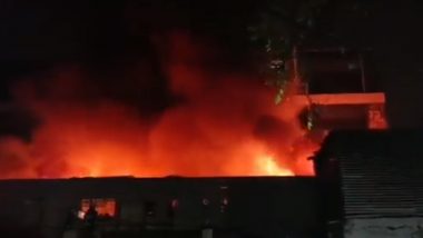 Vardhman Industrial Factory Fire Video: मुंबई के दहिसर में वर्धमान इंडस्ट्रियल फैक्ट्री में लगी  भीषण आग, कड़ी मशक्कत के बाद पाया गया काबू