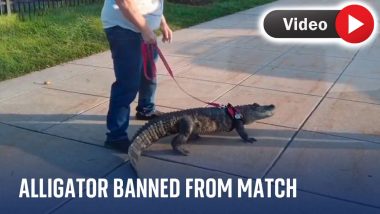 Alligator Banned From Match: पालतू घड़ियाल को लेकर मैच देखने पहुंचा शख्स, स्टेडियम में नहीं मिली एंट्री, देखें वायरल वीडियो