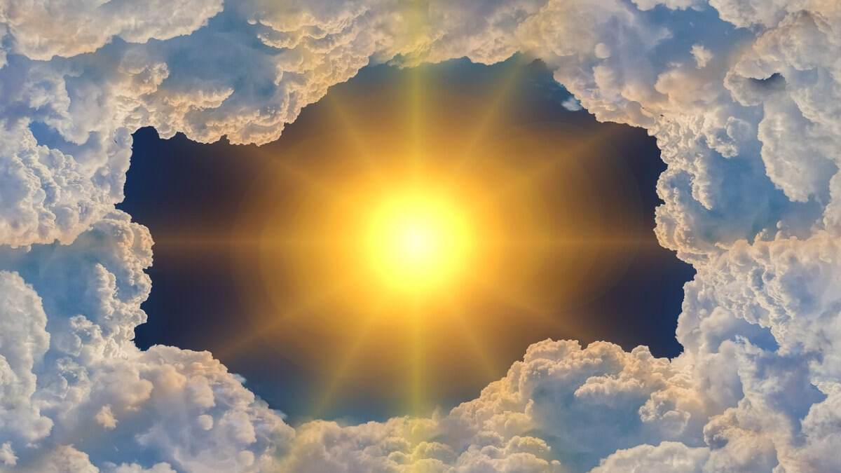 Climate Change: तीन तरह से जलवायु परिवर्तन तितलियों और पतंगों के अस्तित्व को संकट में डाल रहा है
