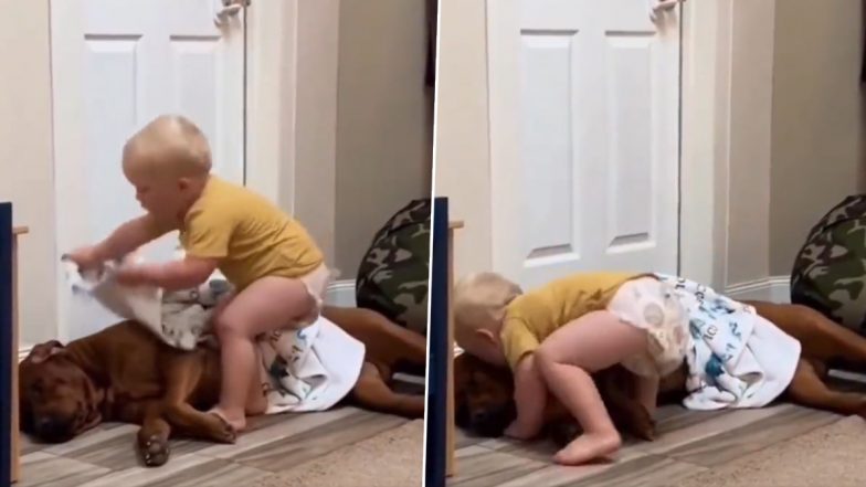 Viral Video: जमीन पर सो रहे कुत्ते को मासूम बच्चे ने ओढ़ाई चादर, किस करके जताया जानवर से प्यार