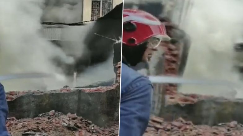 Delhi: उद्योग नगर मेट्रो स्टेशन के पास प्लास्टिक फैक्ट्री में लगी आग, मौके पर 26 फायर टेंडर मौजूद