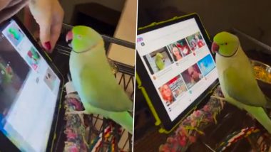 Parrot Viral Video: इंसानों की तरह स्मार्ट टैबलेट चलाता दिखा तोता, यूट्यूब पर स्क्रॉल करके देखने लगा अपनी पसंद की वीडियो