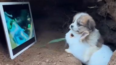 स्मार्ट टैबलेट पर एक साथ एनिमेटेड फिल्म देखते नजर आए खरगोश और पपी, क्यूट वीडियो हुआ वायरल (Watch Viral Video)